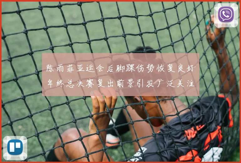陈雨菲亚运会后脚踝伤势恢复良好年终总决赛复出前景引发广泛关注